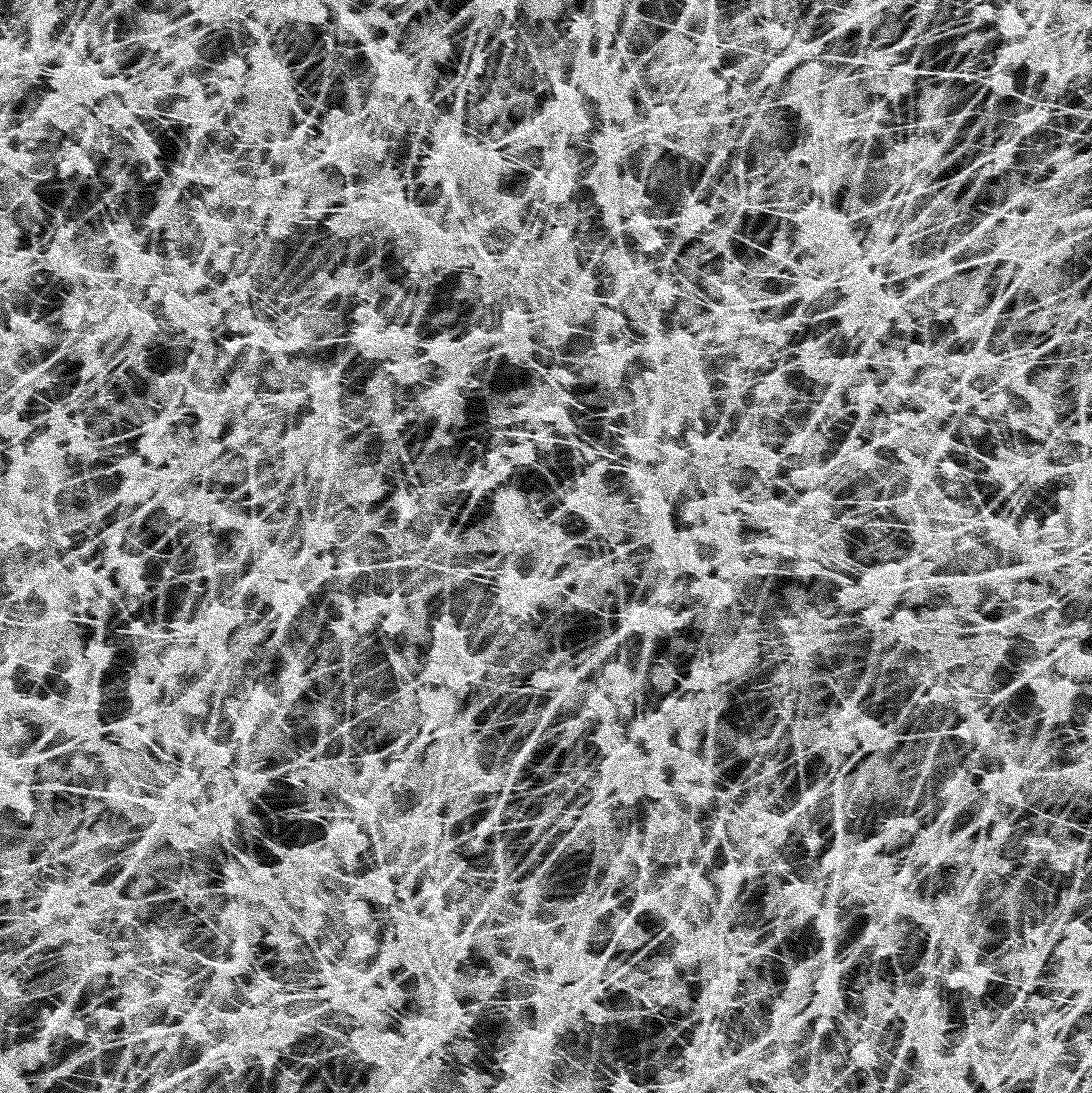 PTFE Laminated Membrane Filters PTFE Membrane, Laminated, Sterlitech