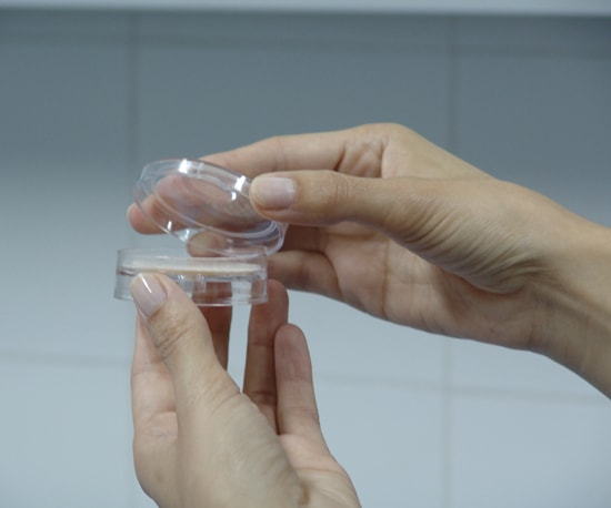 Petri Dishes Petri Dish For Life Science Laboratories and Applications