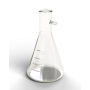Borosilicate Glass Filter Flask, 125 ml