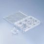 CellQART 6-Well Cell Culture Insert Pre-loaded in Well Plate, PET, 0.4um, Translucent, 4 Well Plates/pk