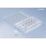 CellQART 24-Well Cell Culture Insert Pre-loaded in Well Plate, PET, 0.4um, Translucent, 4 Well Plates/pk