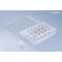 CellQART 24-Well Cell Culture Insert Pre-loaded in Well Plate, PET, 1.0um, Translucent, 4 Well Plates/pk