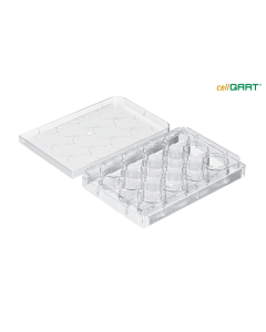 cellQART 12-Well Empty Well Plate, Up To 12 Cell Culture Inserts, 4 Well Plates/pk