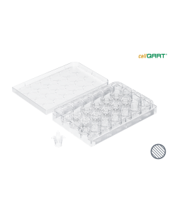 cellQART 24-Well Cell Culture Insert Half Pre-Loaded in Well Plate, PET, 1.0um, Clear, 4 Well Plates/pk