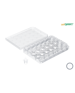cellQART 24-Well Cell Culture Insert Half Pre-Loaded in Well Plate, PET, 1.0um, Translucent, 4 Well Plates/pk