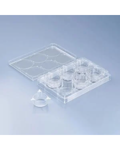 CellQART 6-Well Cell Culture Insert Pre-loaded in Well Plate, PET, 1.0um, Clear, 4 Well Plates/pk