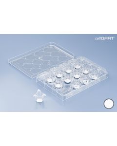 CellQART 12-Well Cell Culture Insert Pre-loaded in Well Plate, PET, 0.4um, Translucent, 4 Well Plates/pk