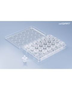 CellQART 24-Well Cell Culture Insert Pre-loaded in Well Plate, PET, 1.0um, Clear, 4 Well Plates/pk