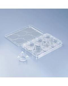 CellQART 6-Well Cell Culture Insert Pre-loaded in Well Plate, PET, 0.4um, Clear, 4 Well Plates/pk