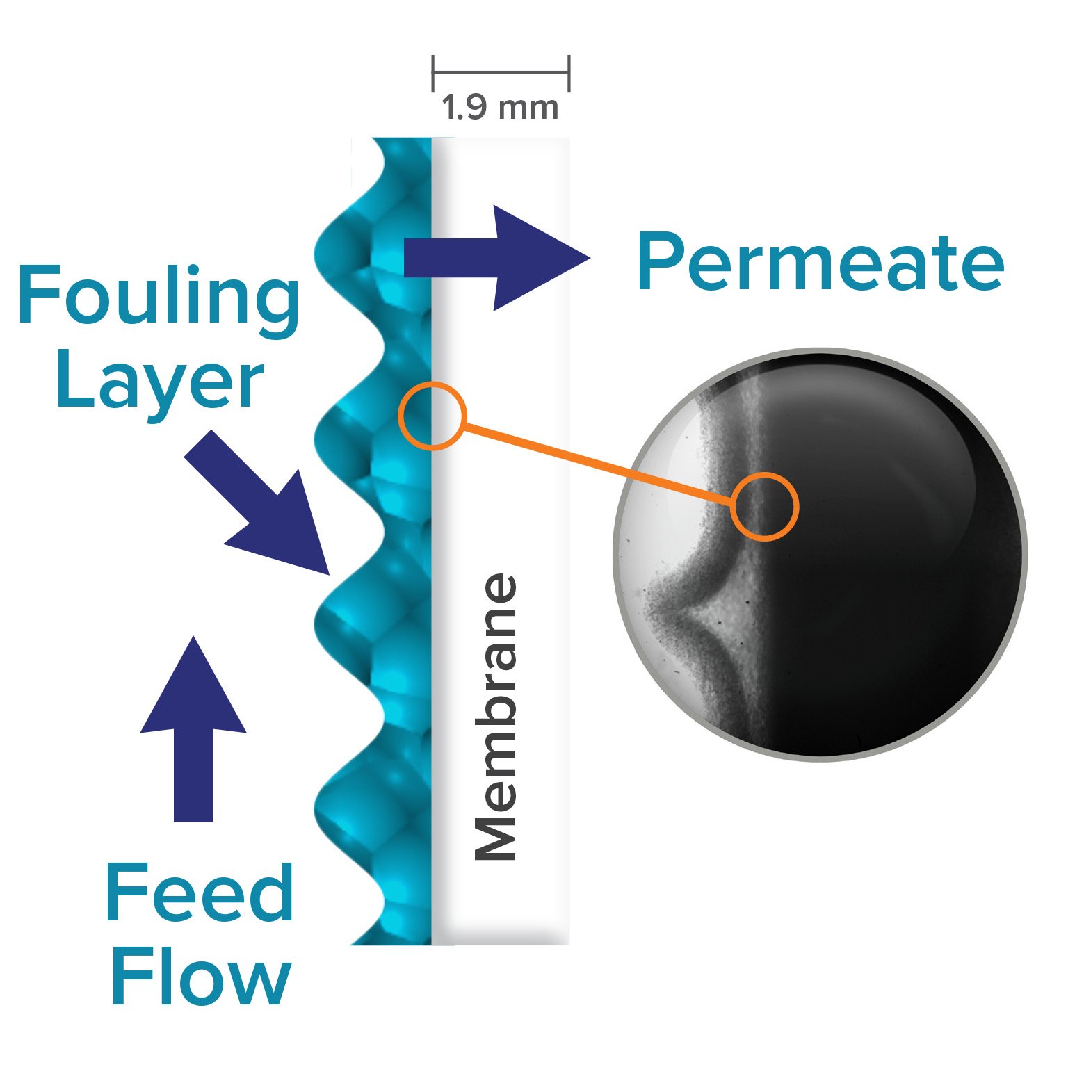 Hydrodynamic conditions in bench-scale membrane flow-cells used to mimic conditions present in full-scale spiral-wound elements