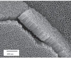 Totally Tubular: Polycarbonate Membranes as Templates for Nanotubes