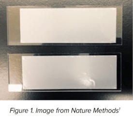 Polycarbonate Membrane Filters for the Seq-Well Platform